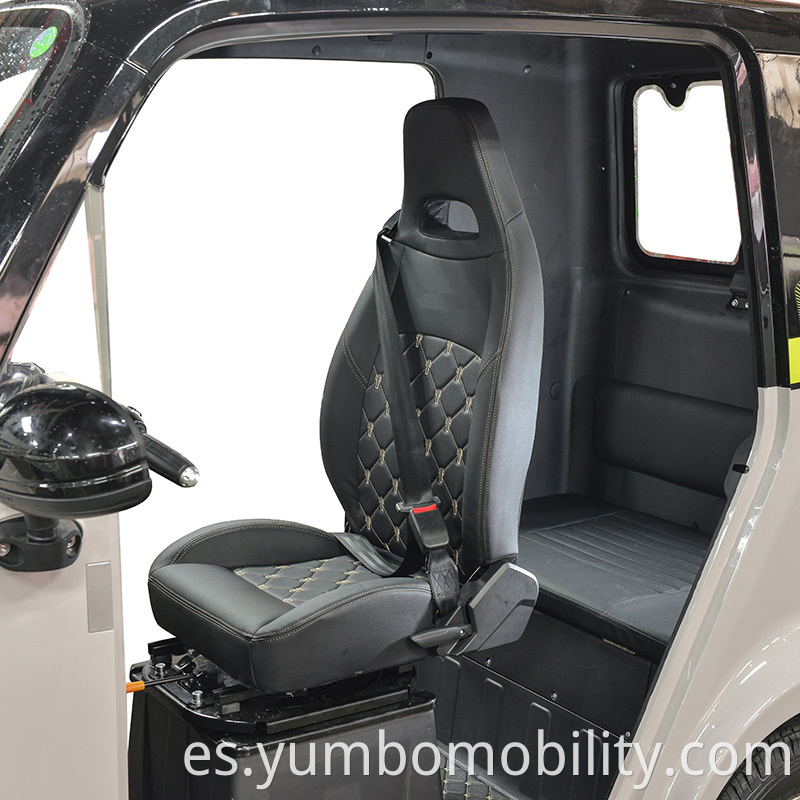 Two Doors Removable Electric Cabin Scooter